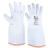 GANTS 1545150PACHRF
